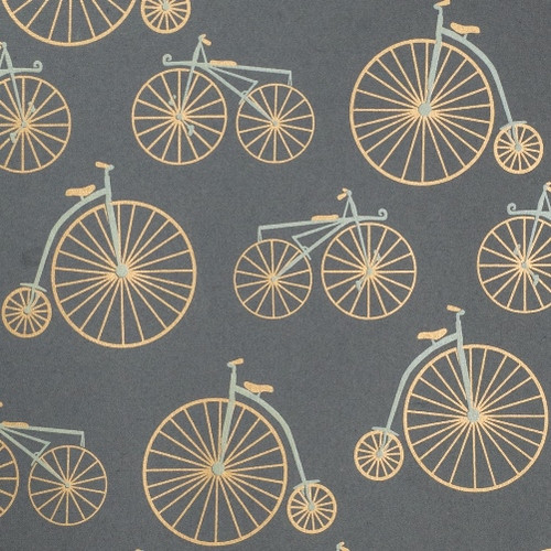 Bicycles – Gray/Gold & Cream Metallic